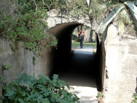 photo coins arrondis